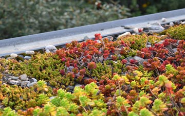 the cost of Sannox green roof installation